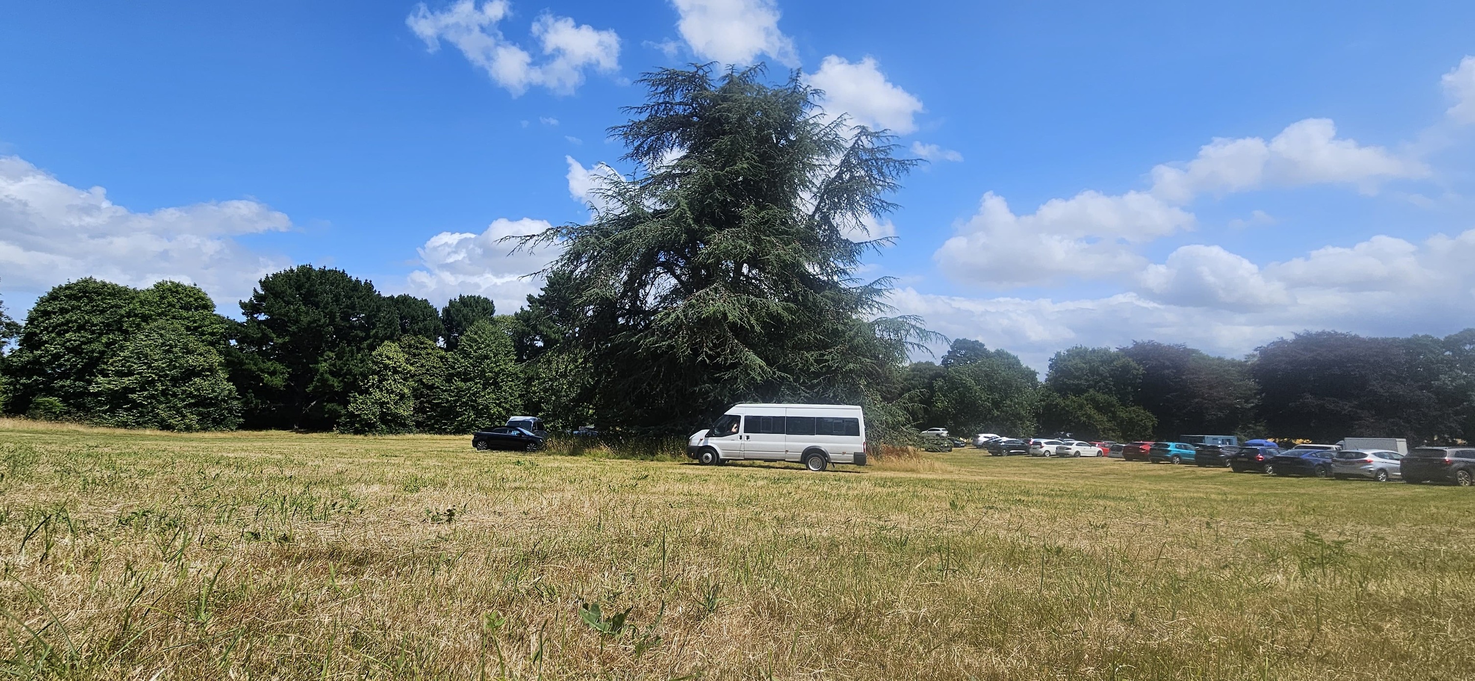 Minibus for Private Hire